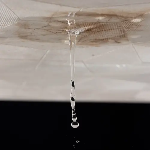 How Do I Tell If a Roof Leak Is Active or Old?