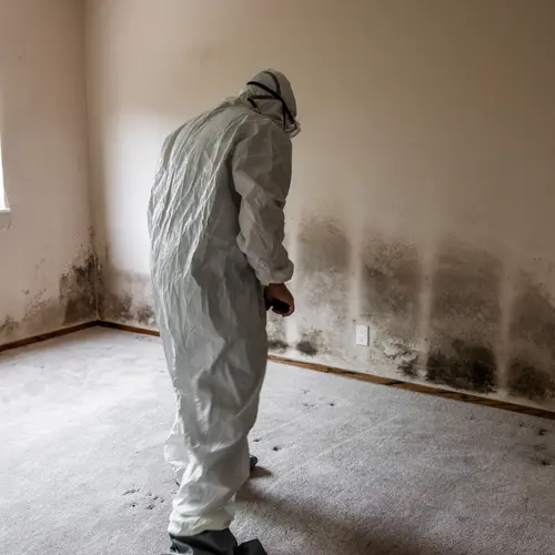 How Do I Spot Mold Before the Inspector Does?