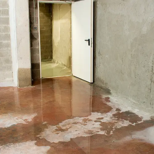 How Do I Tell if Your Basement Is Prone to Flooding in Staten Island & Brooklyn?