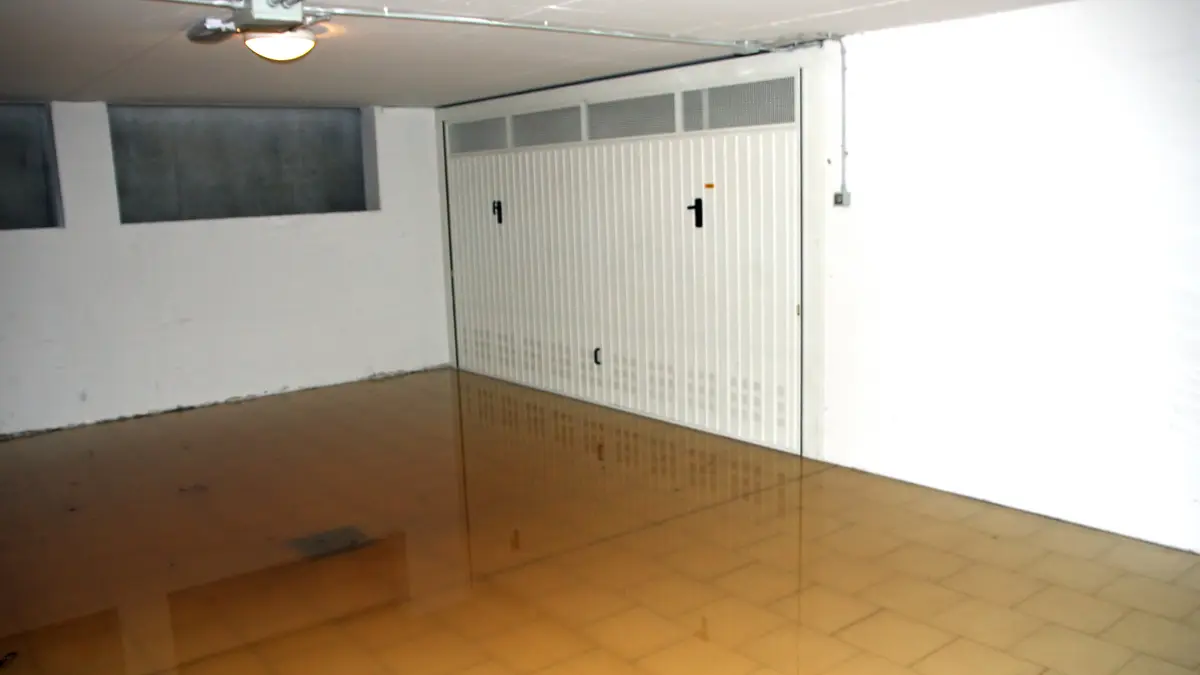 blog (6)