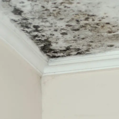 How Do I Detect Indoor Humidity Problems?