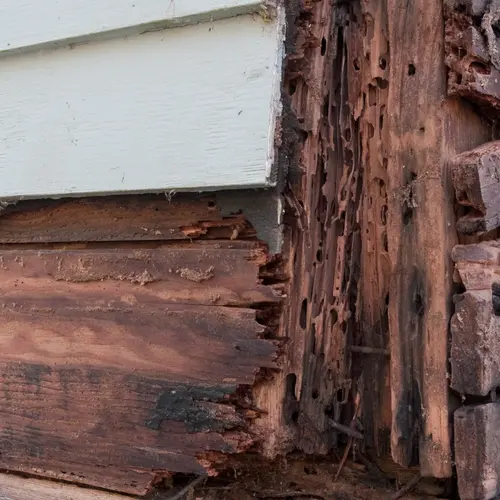 How Do I Spot Structural Wood Rot in Staten Island and Brooklyn Homes?