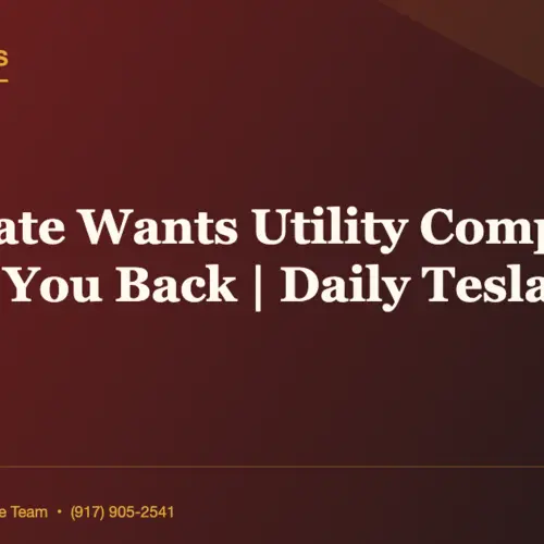 NY Senate Wants Utility Companies To PAY You Back | Daily Tesla News